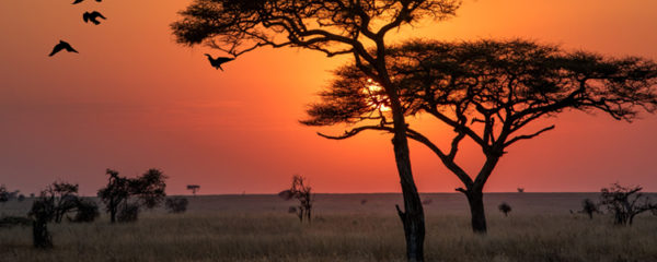 Tanzanie